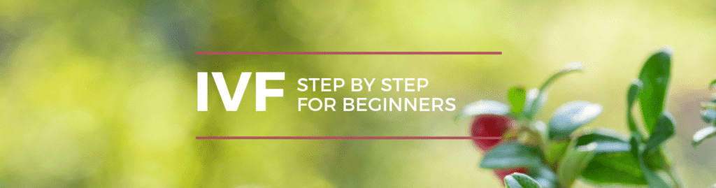 Step by step IVF guide for beginners